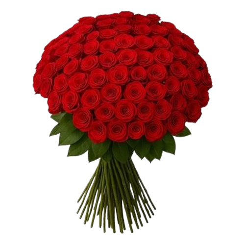 100 Red Roses Bouquet