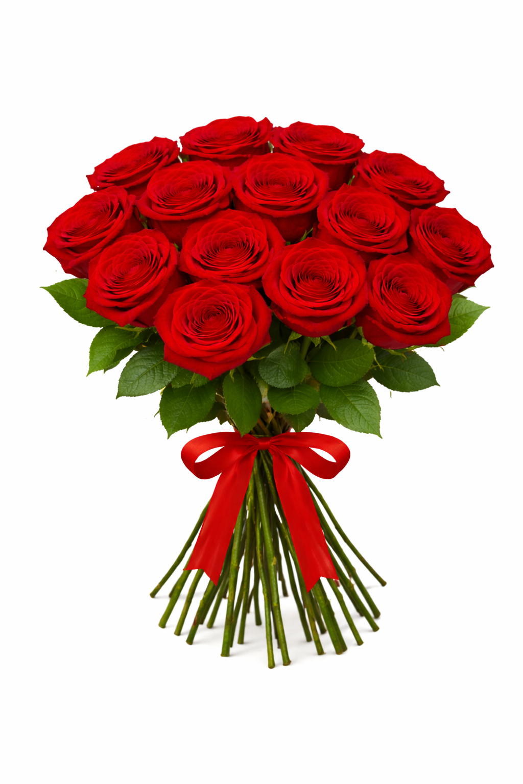 25 Red Roses Bouquet